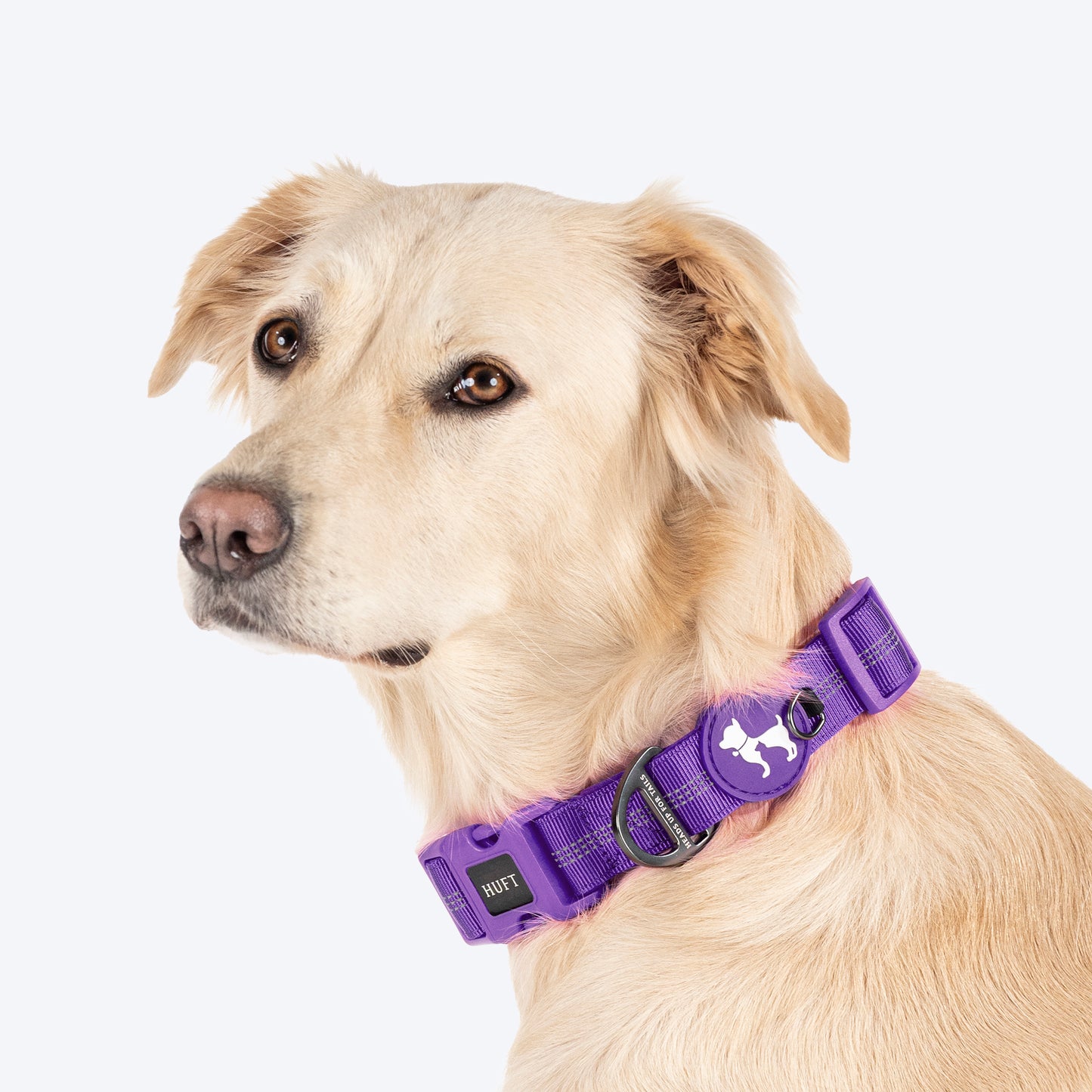 HUFT Comfort Plus Collar For Dog - Purple