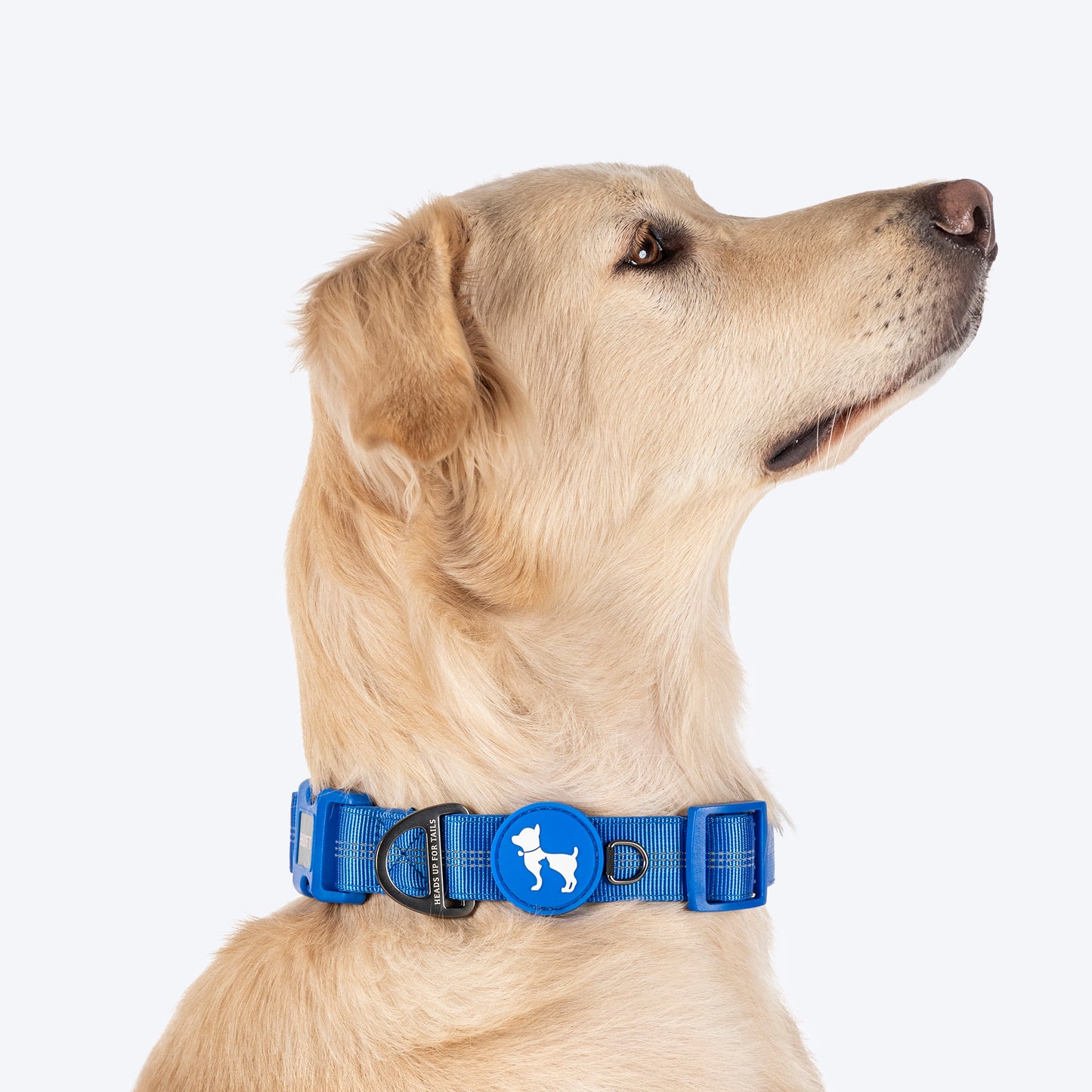 HUFT Comfort Plus Collar For Dog - Blue