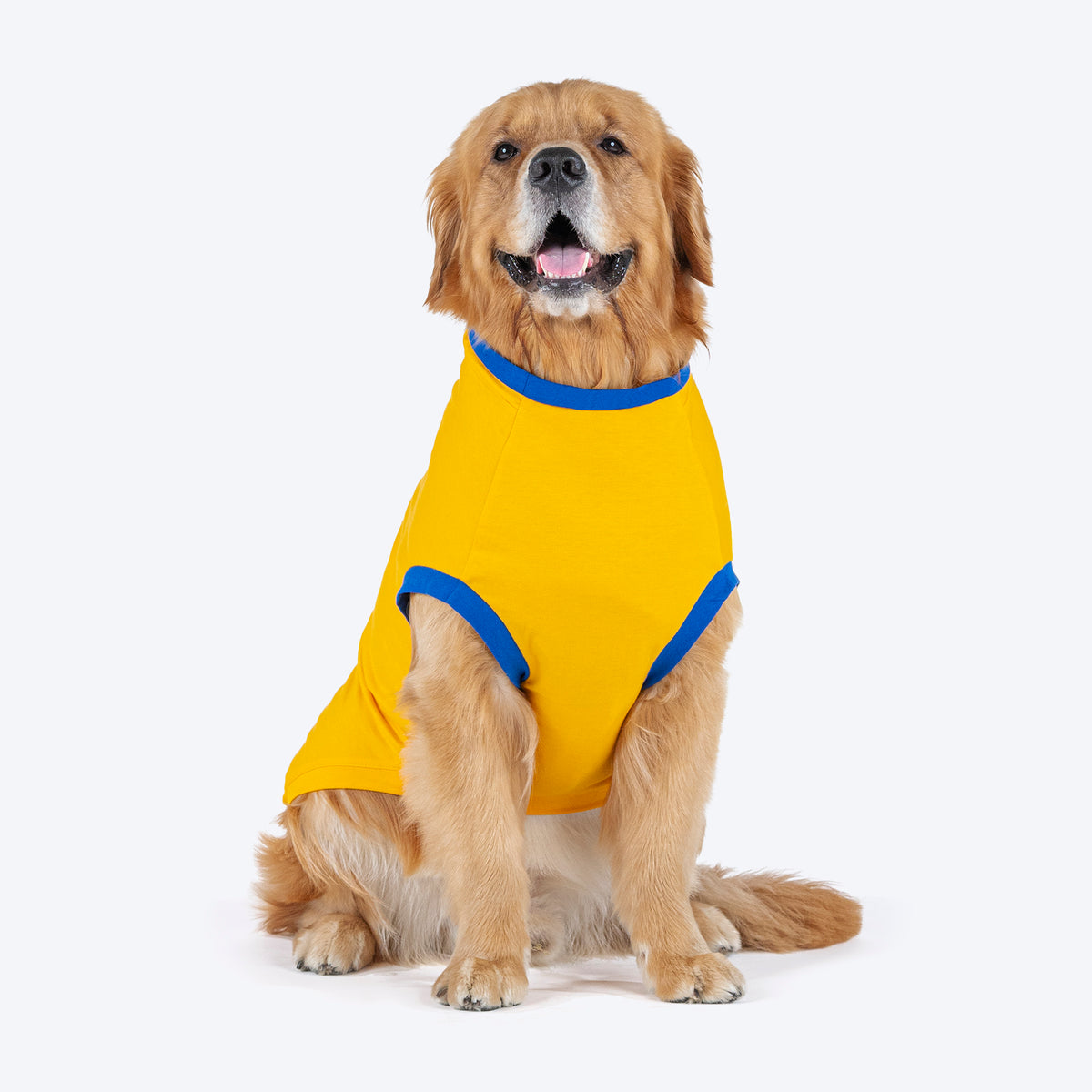 HUFT Pawsitively Adorable T-Shirt For Dogs - Yellow