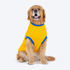 HUFT Pawsitively Adorable T-Shirt For Dogs - Yellow