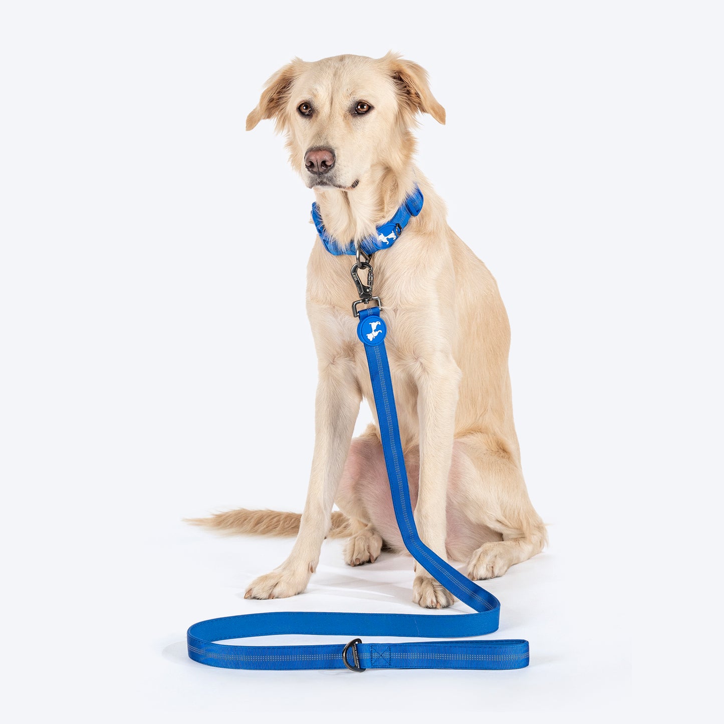 HUFT Comfort Plus Leash For Dog - Blue