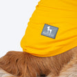 HUFT Pawsitively Adorable T-Shirt For Dogs - Yellow