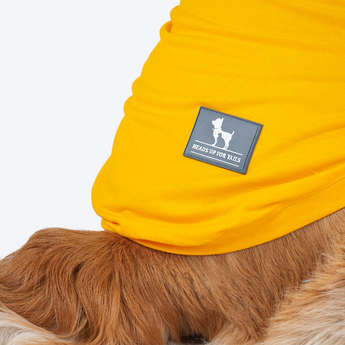HUFT Pawsitively Adorable T-Shirt For Dogs - Yellow