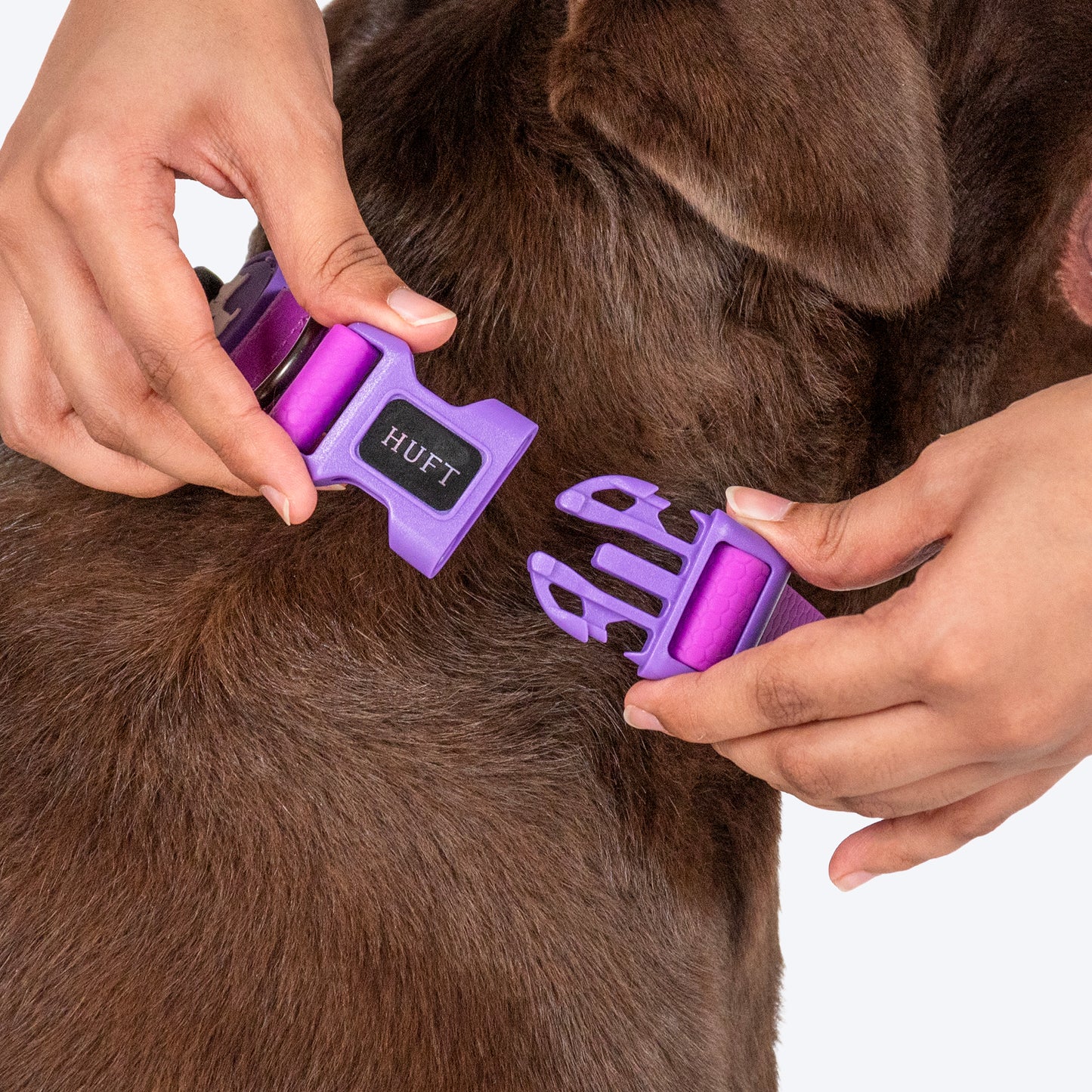 HUFT Hive Harmony Waterproof Collar And Leash Set For Dog - Purple