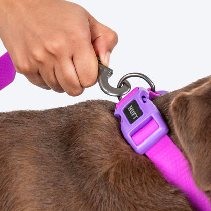 HUFT Hive Harmony Waterproof Collar And Leash Set For Dog - Purple