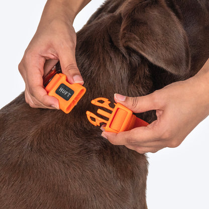 HUFT Hive Harmony Waterproof Collar And Leash Set For Dog - Orange