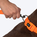 HUFT Hive Harmony Waterproof Collar And Leash Set For Dog - Orange