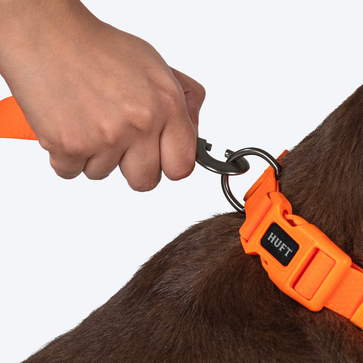 HUFT Hive Harmony Waterproof Collar And Leash Set For Dog - Orange