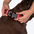 HUFT Heart To Heart Collar For Dog - Red