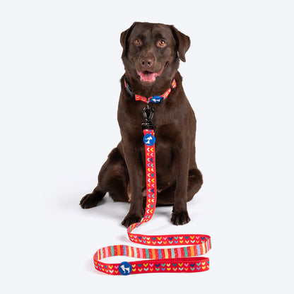 HUFT Heart to Heart Leash For Dog - Red