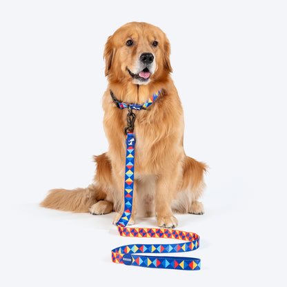 HUFT Prism Patterns Leash For Dog - Blue