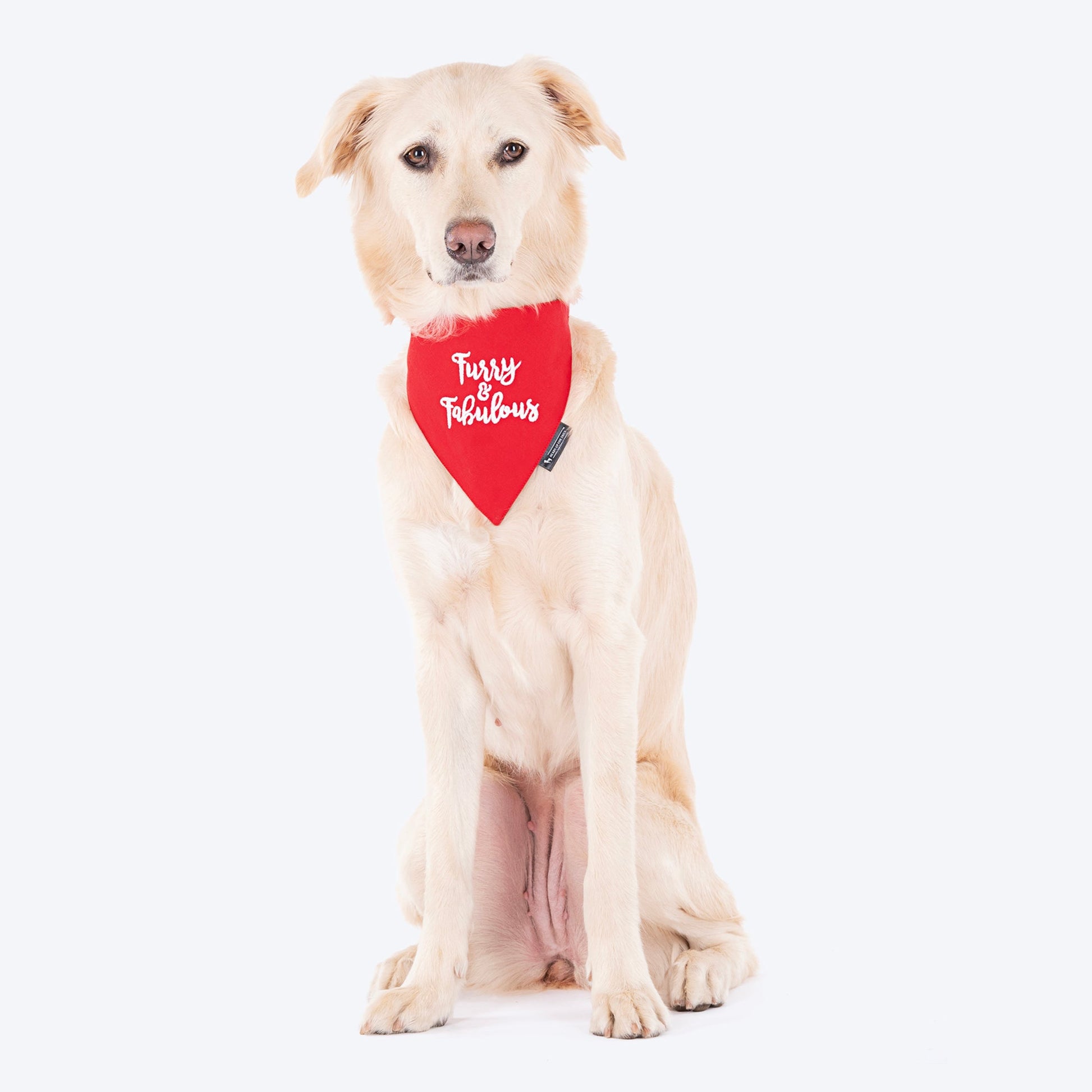 HUFT Furry and Fabulous Dog Bandana - Red - Heads Up For Tails