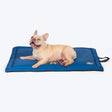 HUFT Home Is Where My Dog Is Mat - Navy
