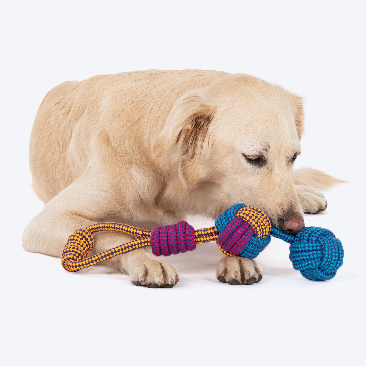 Dash Dog Double Up Tug Rope Dog Toy