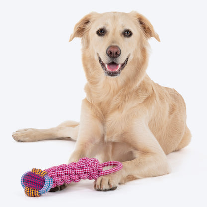 Dash Dog Knots Of Fun Rope Dog Toy - Pink