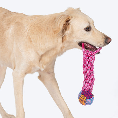 Dash Dog Knots Of Fun Rope Dog Toy - Pink