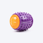 Dash Dog Spikey Sprinter Toy For Dog