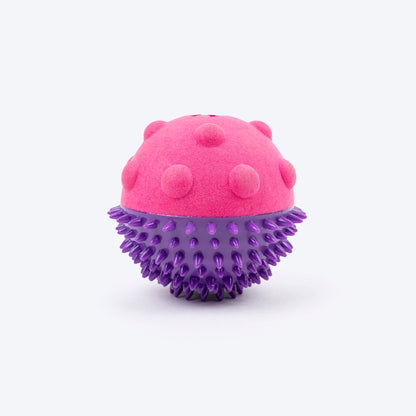 Dash Dog Spikey Snacker Toy For Dog