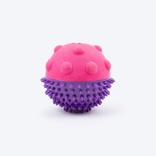 Dash Dog Spikey Snacker Toy For Dog