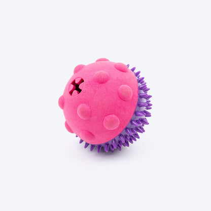 Dash Dog Spikey Snacker Toy For Dog