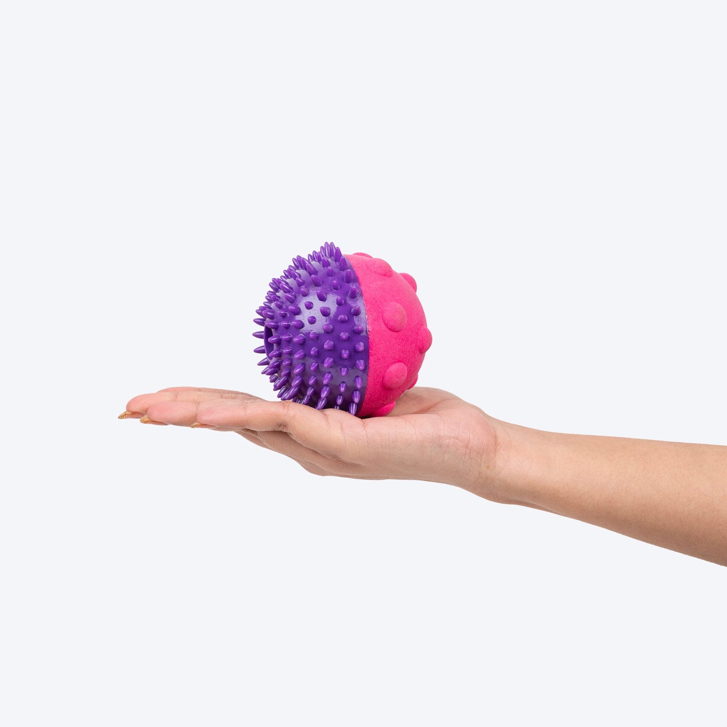 Dash Dog Spikey Snacker Toy For Dog