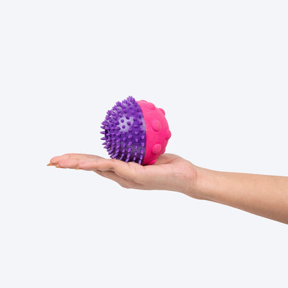 Dash Dog Spikey Snacker Toy For Dog