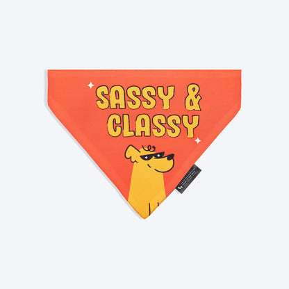HUFT Sassy & Classy Bandana For Dog - Orange