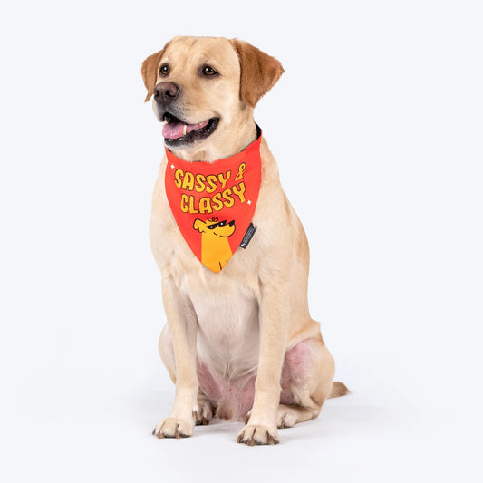 HUFT Sassy & Classy Bandana For Dog - Orange