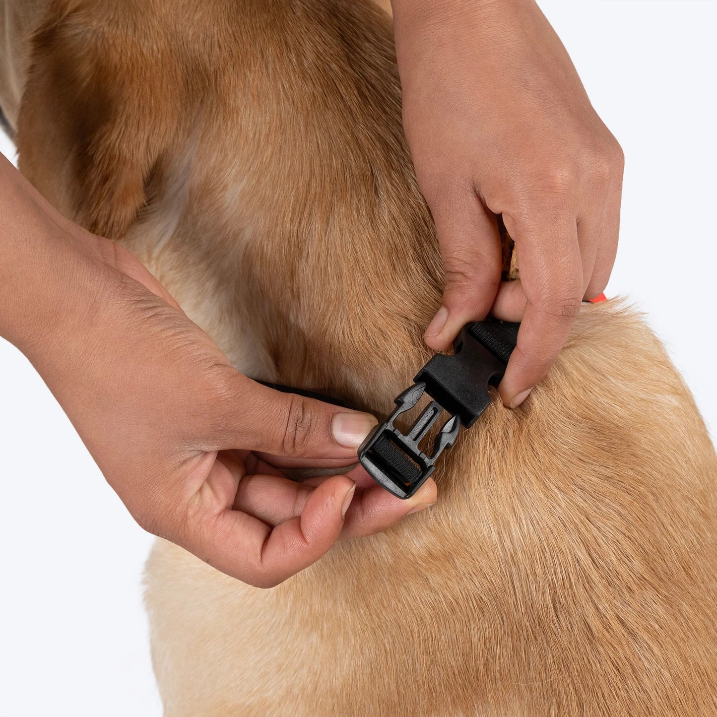 HUFT Sassy & Classy Bandana For Dog - Orange