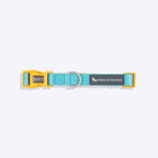 HUFT Dichromatic Collar For Dog - Turquoise & Orange