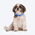 HUFT Hive Harmony Waterproof Collar And Leash Set For Dog - Blue