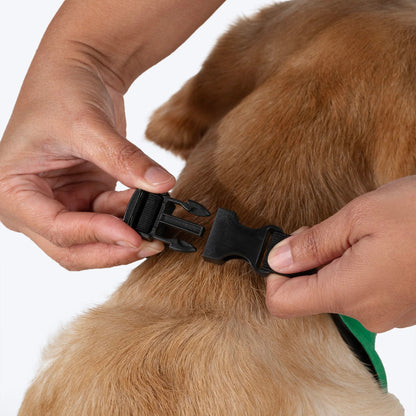 HUFT Furry & Fabulous Bandana For Dog - Green