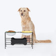 HUFT Pawlicious Double Diner For Dog - Multicolor