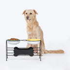 HUFT Pawlicious Double Diner For Dog - Multicolor