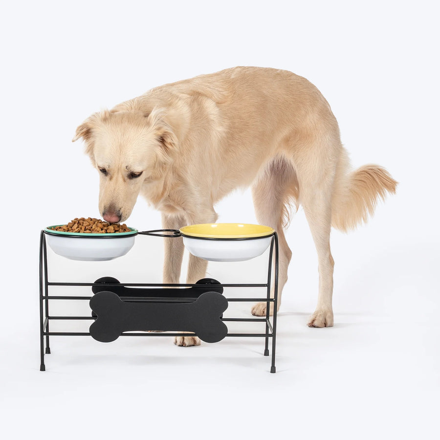 HUFT Pawlicious Double Diner For Dog - Multicolor
