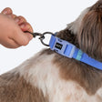 HUFT Hive Harmony Waterproof Collar And Leash Set For Dog - Blue