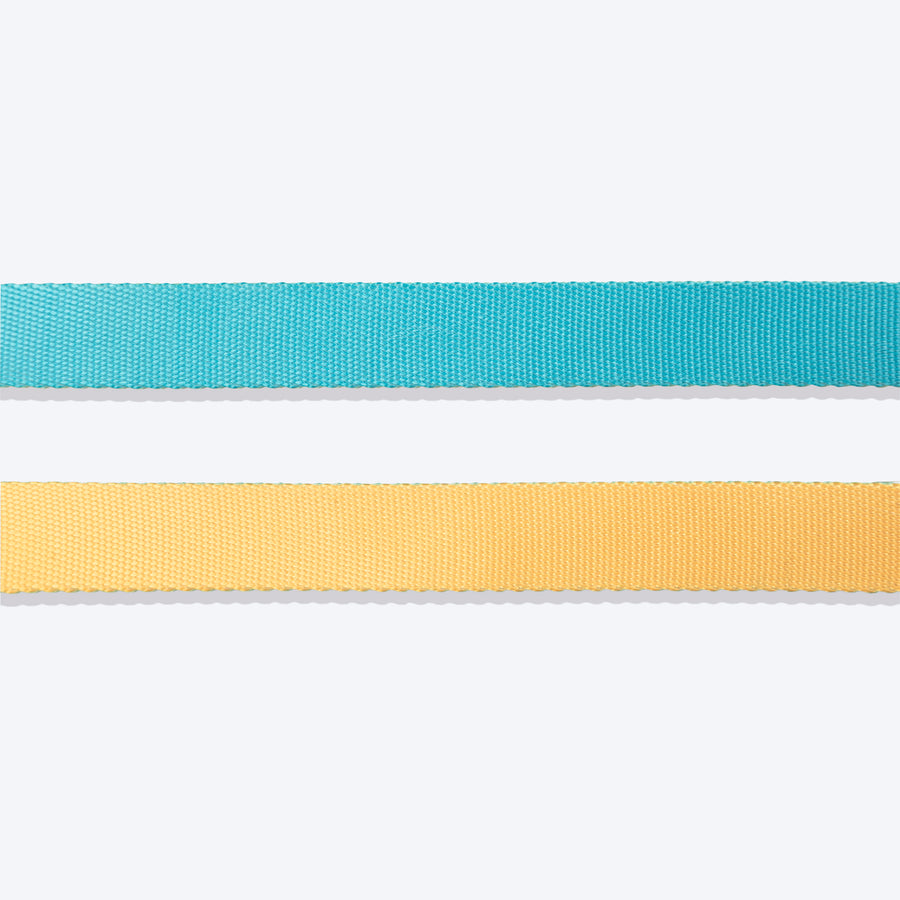 HUFT Dichromatic Leash For Dog - Turquoise & Orange