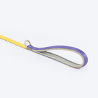 HUFT Dichromatic Leash For Dog - Yellow & Purple