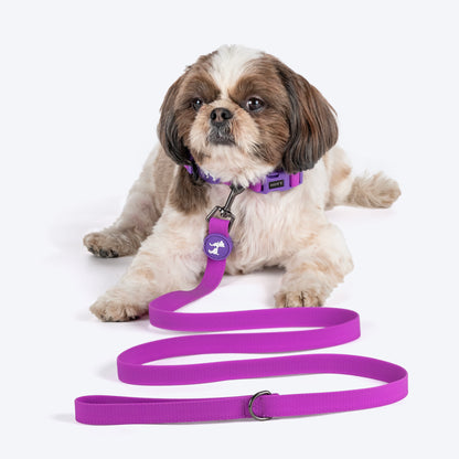 HUFT Hive Harmony Waterproof Collar And Leash Set For Dog - Purple