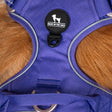 HUFT Xplorers Harness For Dog - Purple