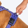 HUFT Xplorers Harness For Dog - Purple