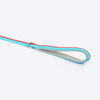HUFT Color Fushion Waterproof Leash For Dog - Red & Sky Blue