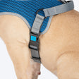 HUFT Easy Fit U-Harness For Dogs - Blue