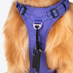 HUFT Xplorers Harness For Dog - Purple