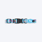 HUFT Over the Rainbow Collar For Dog - Blue