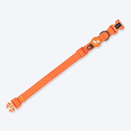 HUFT Hive Harmony Waterproof Collar And Leash Set For Dog - Orange