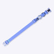 HUFT Hive Harmony Waterproof Collar And Leash Set For Dog - Blue
