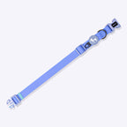 HUFT Hive Harmony Waterproof Collar And Leash Set For Dog - Blue