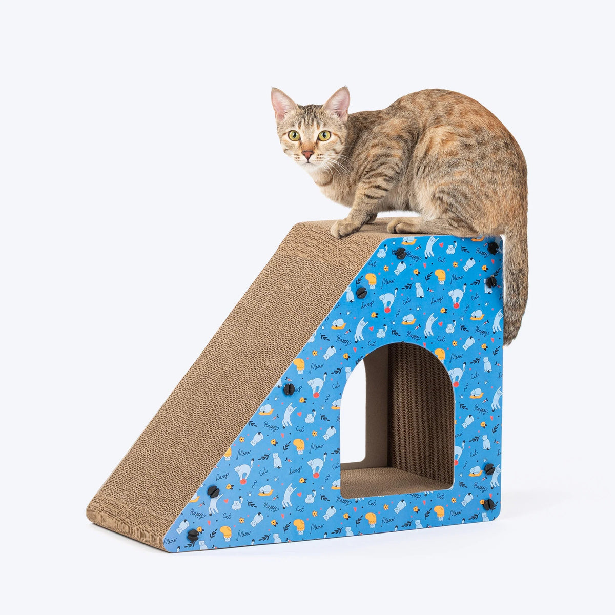 HUFT Whisker Hub Scratcher For Cat - Blue