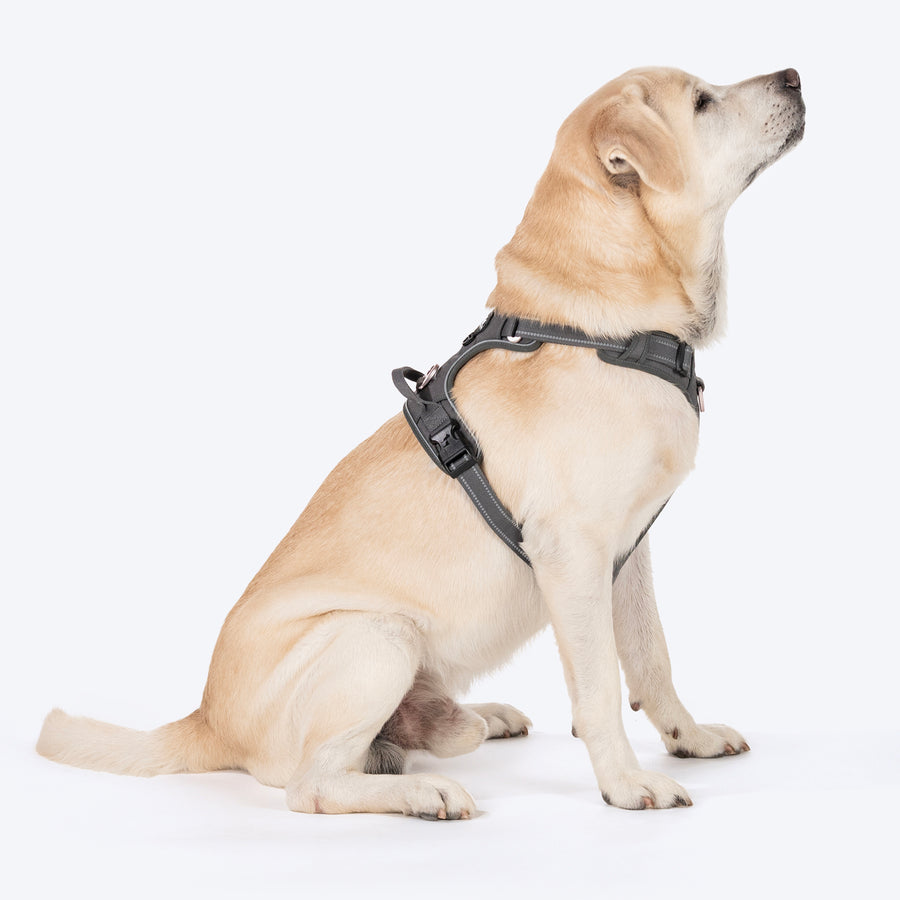 HUFT Xplorers Harness For Dog - Grey